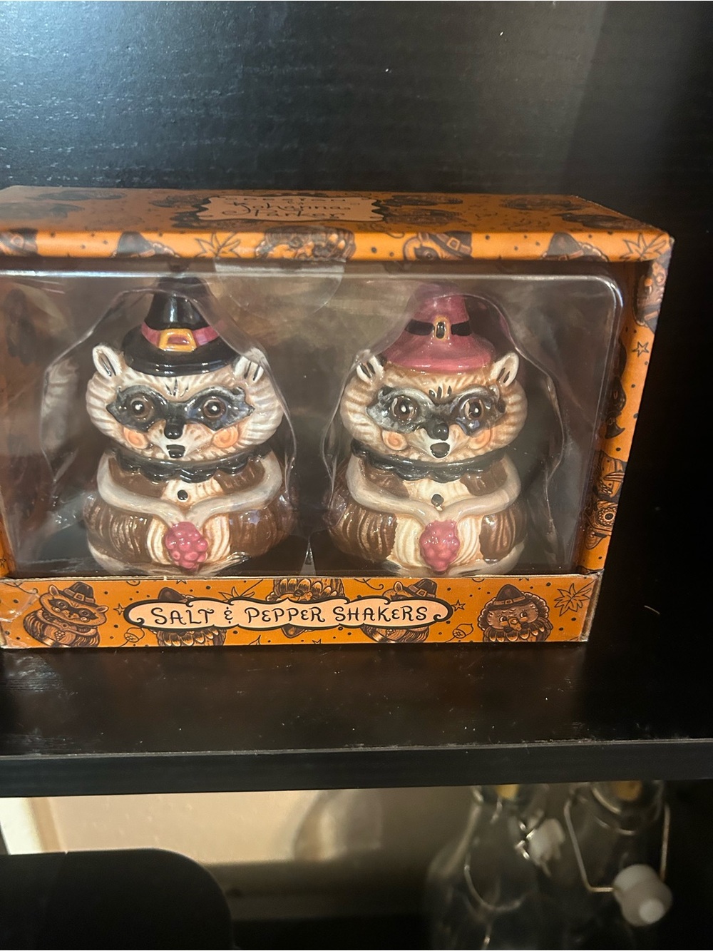 Halloween Raccoon Salt & Pepper Shaker Set - Orange, Brown and Pink